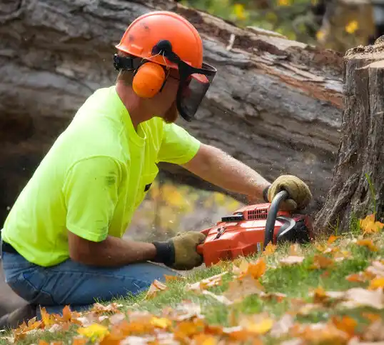 tree services Hillside Lake